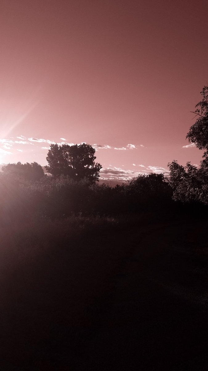LaurelSchuett's tweet photo. Beautiful morning after the rain @sarahjaswim @danielalippke @Sheugs @barbaramills1 @SamsSecretAlias @OutlandishLove https://t.co/fadfty9Qvj