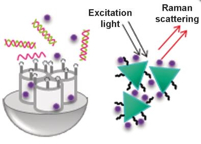 ChemEurJ's tweet image. @UV_EG #Ramanscattering #Sensingapplications: detection of #mycoplasma #cocaine #freetoread goo.gl/kRPWVZ