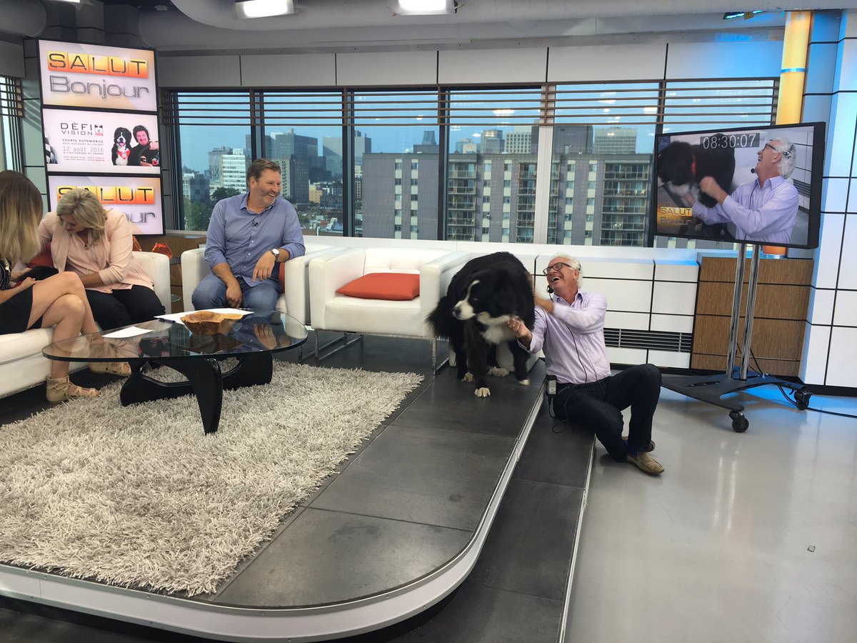 NarimaneRP's tweet photo. Beaucoup de plaisir ce matin en studio avec les chiens de @fondationmira pour parler du #DefiVision2016 ce vendredi! https://t.co/csATTYnuwc