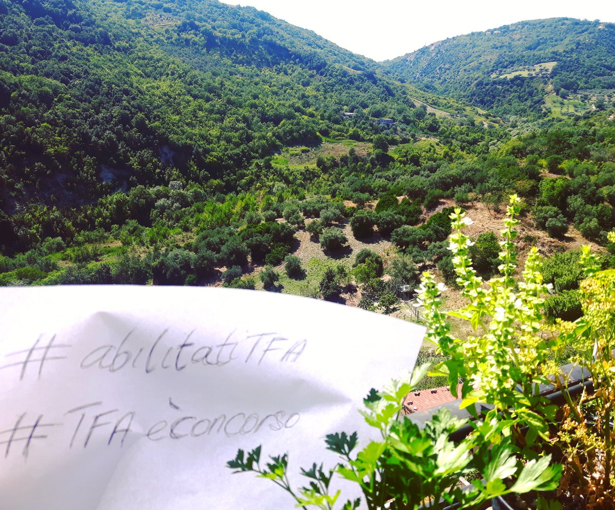 usako_811's tweet photo. @matteorenzi @SteGiannini @davidefaraone #abilitatiTFA #tfaèconcorso #finoallultimotieffinoinruolo #doppiocanale https://t.co/4aJg3BTS6i