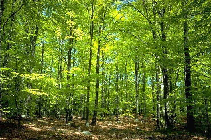 AAvizari's tweet photo. @miyukinkira 
Hello my friend 
Good afternoon 
Thank you very much https://t.co/jqRYtrgKbZ