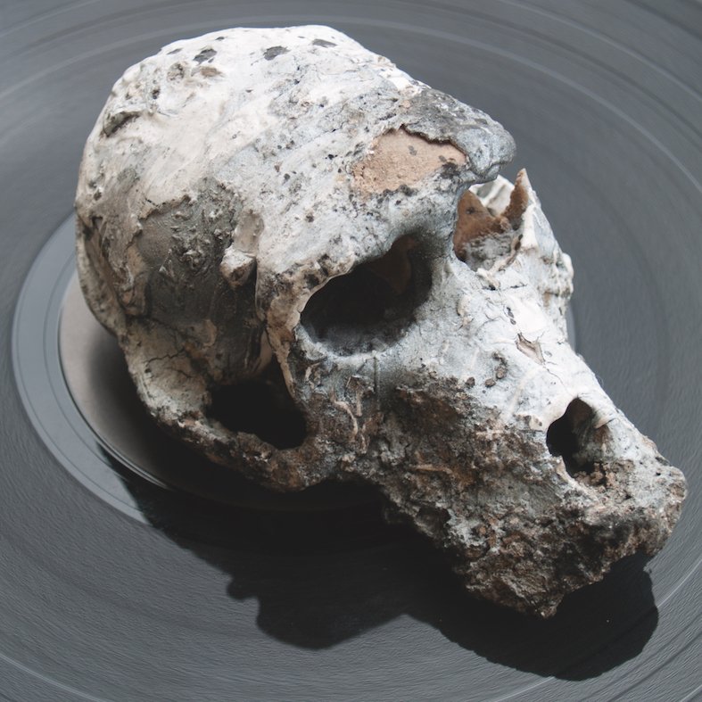 Our upcoming project w/ Claire Tolan is produced in partnership with Unsafe+Sounds Festival unsafeandsounds.com