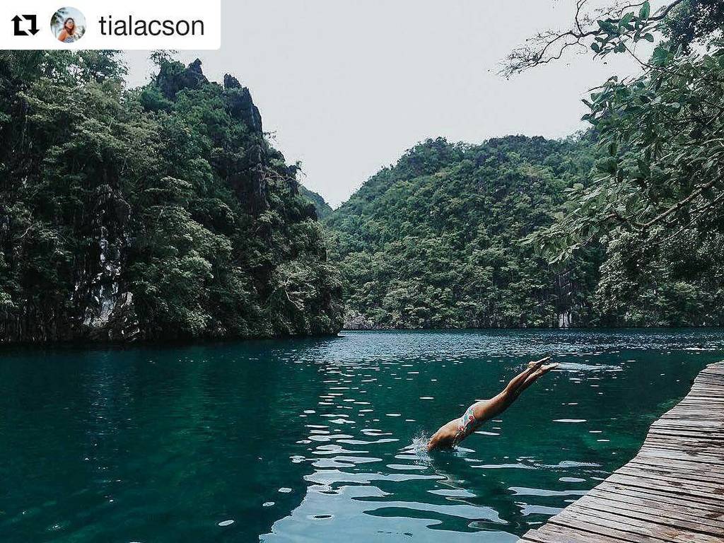 CoronSoleil's tweet photo. Awesome shot @tialacson #Repost with @repostapp
・・・
Dive in 💦
 #coron #travelwithtia #JoinTheJourneyPh
.
.
.
.
.
.
… https://t.co/y4IprxrnCJ