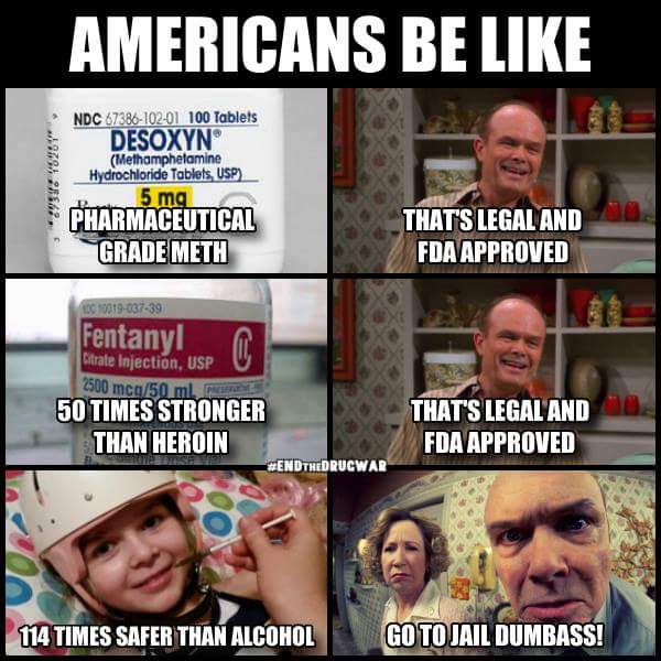 GanjaGadfly's tweet photo. Top story: @Norstackk: ':>}_~Mericans Be Like~ #StonerNation #StonerFam #Pothea… https://t.co/HDH34R3avA, see more https://t.co/y1d0I9CNd5