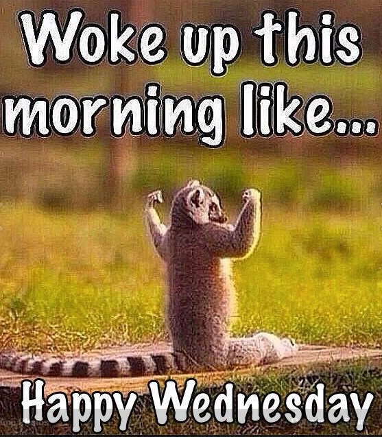 trainerpass's tweet photo. Happy Hump day! Stay strong!
#fitness #health #strongerthanyesterday #happy #positive #TrainerPass https://t.co/WM4ADjmVIx