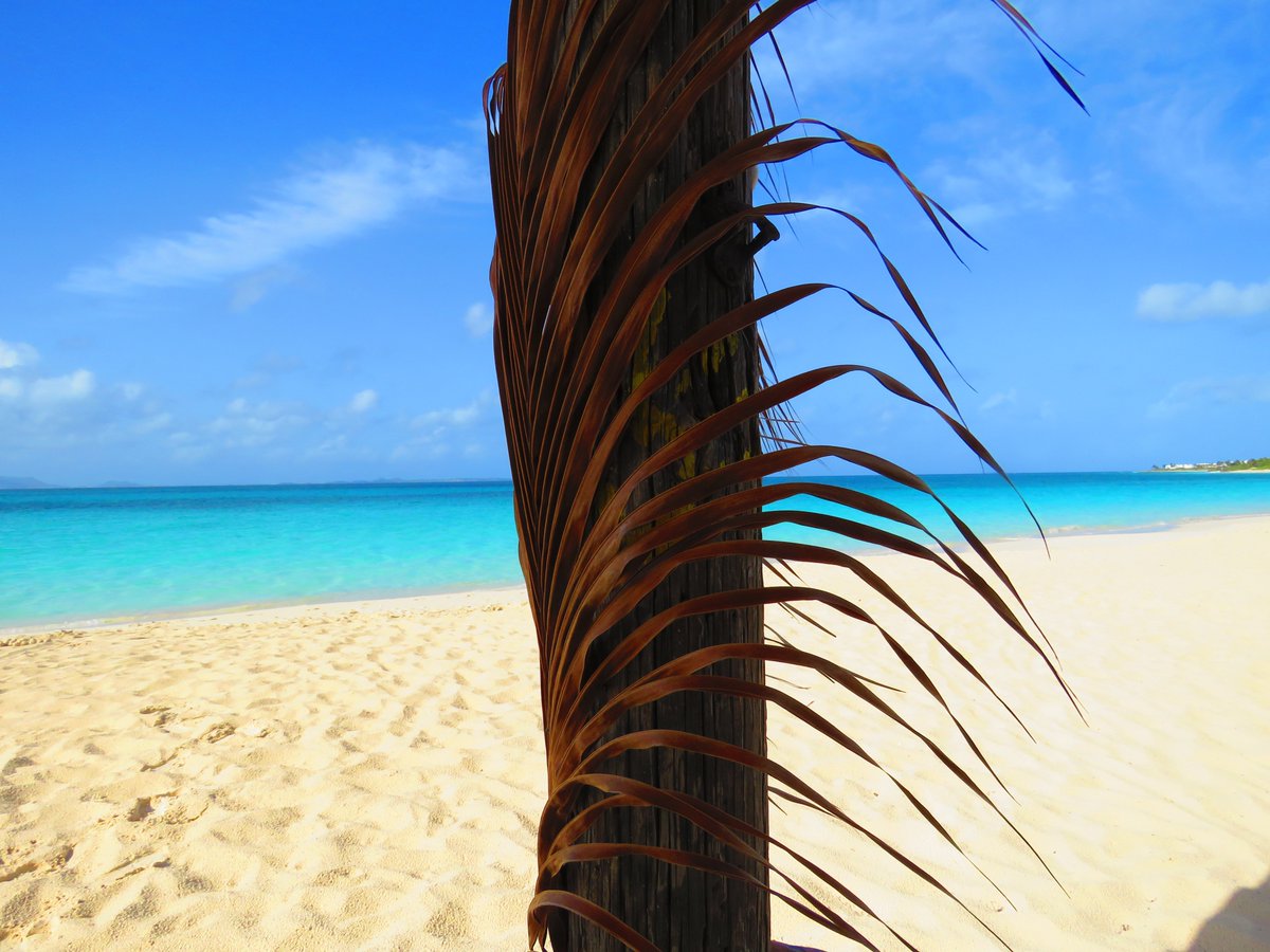 CaribbeanInfo's tweet photo. Fab ! @SunShineShack_  Good Morning from #Anguilla. If you are in a need of a beach escape, join us here at the SSS. https://t.co/CWRZpVZoMj