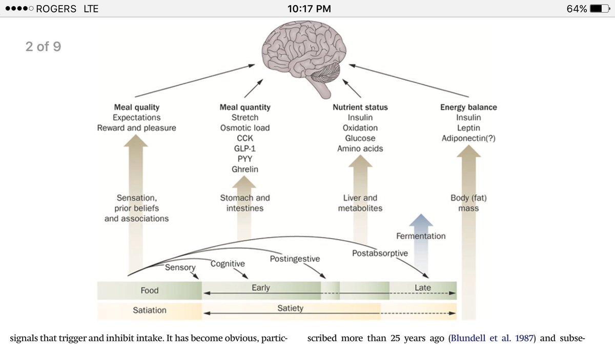 colossusfit's tweet photo. Great chart on food satiety and hunger signals #Science #ResearchBasedTraining https://t.co/g2EZudbvxp