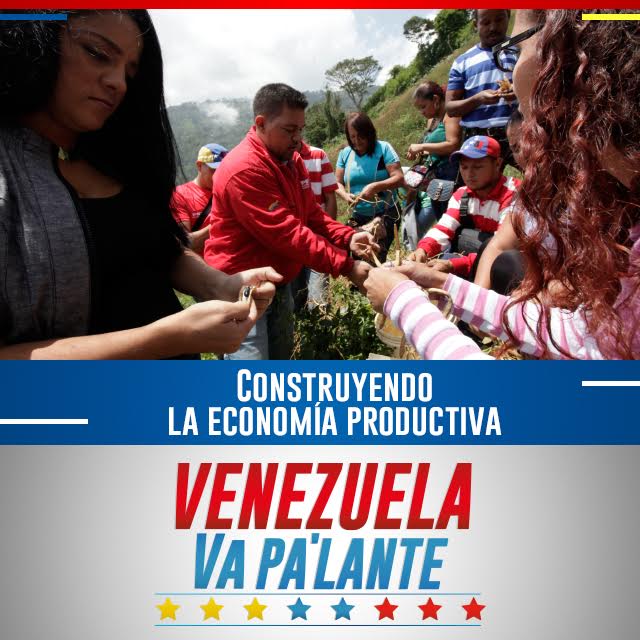 mineducacion_ve's tweet photo. El Gobierno Bolivariano  promueve la hermosa enseñanza de los huertos escolares  #VenezuelaVaPaLante https://t.co/0GGpt4s5q8