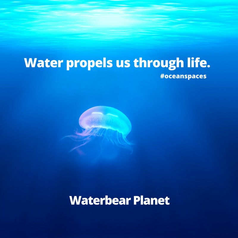 Remember this as you breathe, our lungs are over 83% water. #experience #experiential #oceans