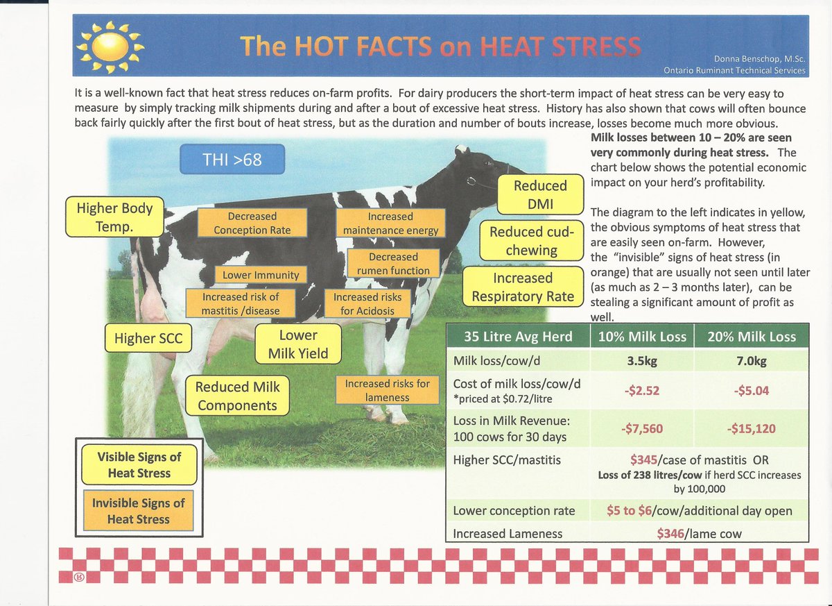 Martin__Leonard's tweet photo. Summer heat is still going strong. Here are good tips from @BenschopDonna #Purinaproactiv https://t.co/QVmHlFG8oZ