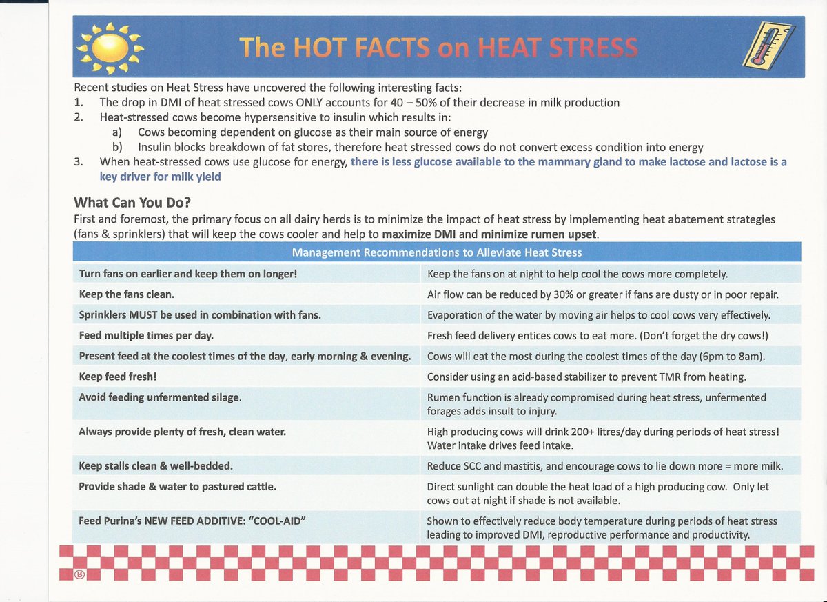 Martin__Leonard's tweet photo. Summer heat is still going strong. Here are good tips from @BenschopDonna #Purinaproactiv https://t.co/QVmHlFG8oZ