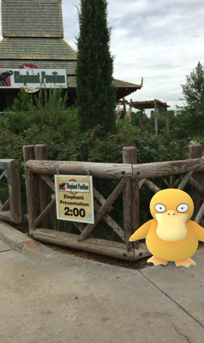 OKCforSoccer's tweet photo. If you thought Pokemon GO was over, think again! 50% off entry to @okczoo Pokemon GO event Sunday w/ Energy coupon! https://t.co/FgbOsXDHFF