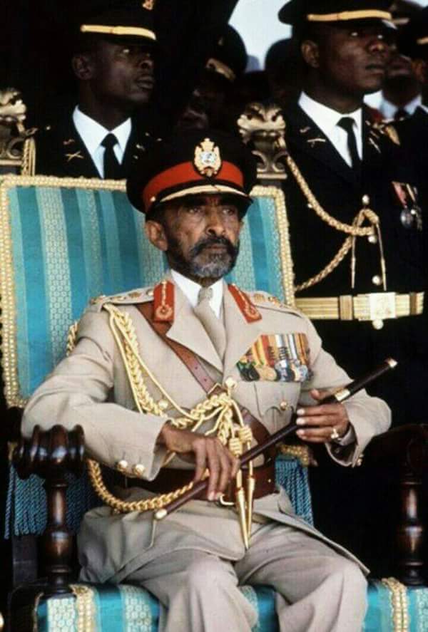 MikeSheeba's tweet image. Lions of Judah