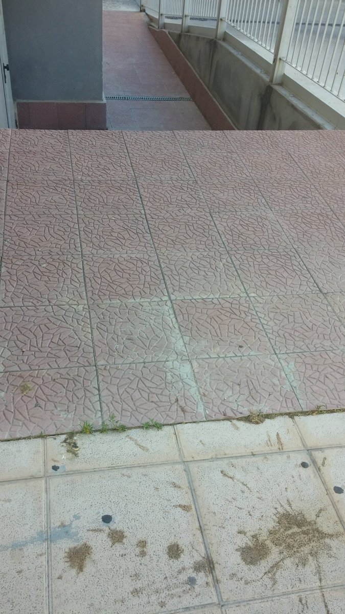 suemtnez's tweet photo. Lo q te encuentras paseando... un descuido y caída libre https://t.co/m34pwGJKgh