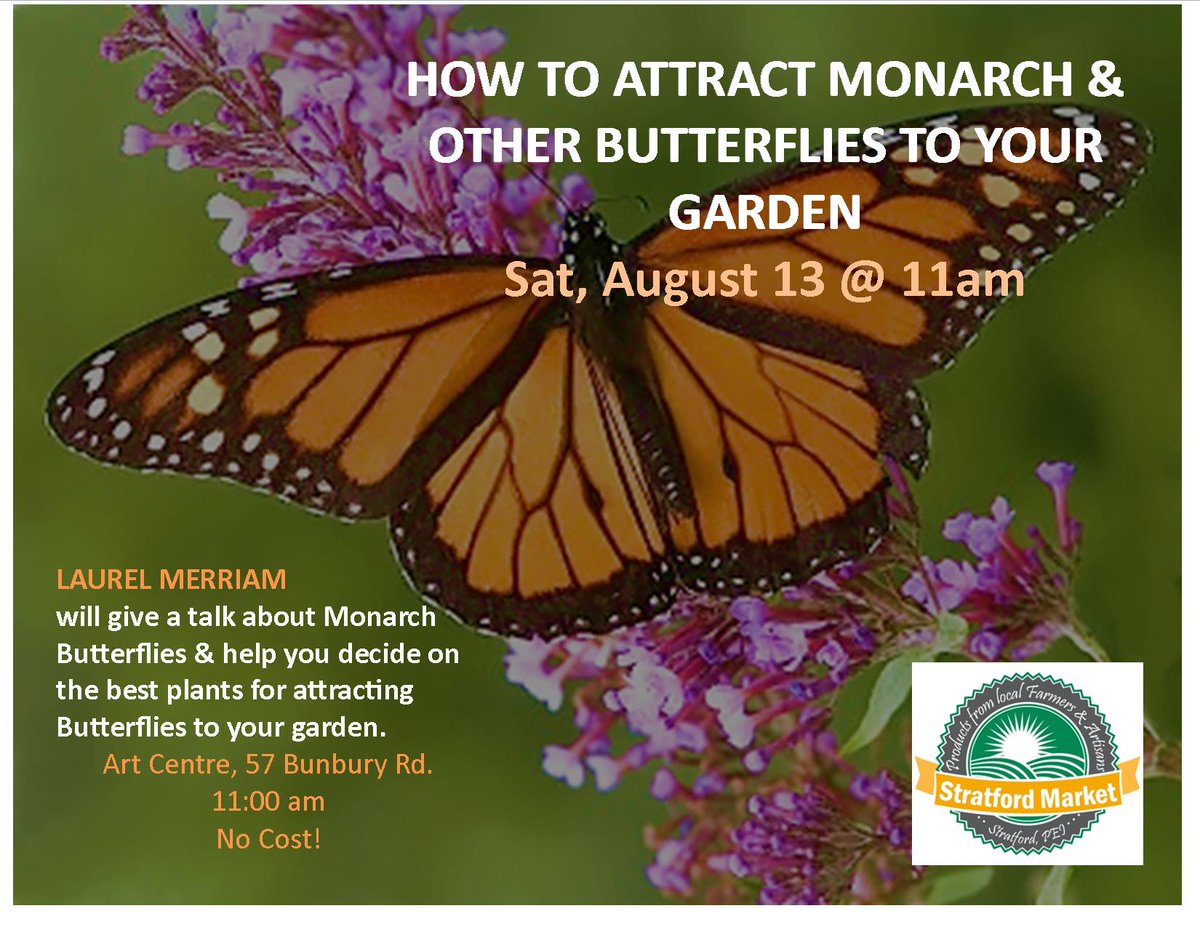 Love #Monarch #butterflies Sat, Aug 13 @ 11am Learn all about them bit.ly/2aLy2Vj  #StratfordFarmersMarket