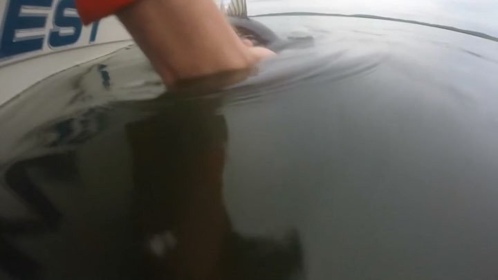 Guide_Hire's tweet image. North Shore Schoolie fun...
Guide: @captainmichaelhart Video: @tgoodyear 
#WeKnowAGuide | #GuideHire | #StripedBass…