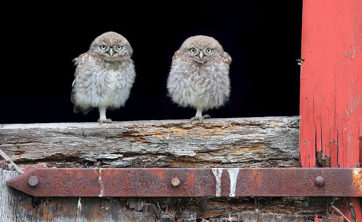 ValVisualUa's tweet image. Главные советы начинающему фотографу lightroom.ru/photomaster/17…