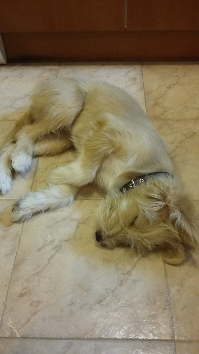 Rebecca Alexander tweet media