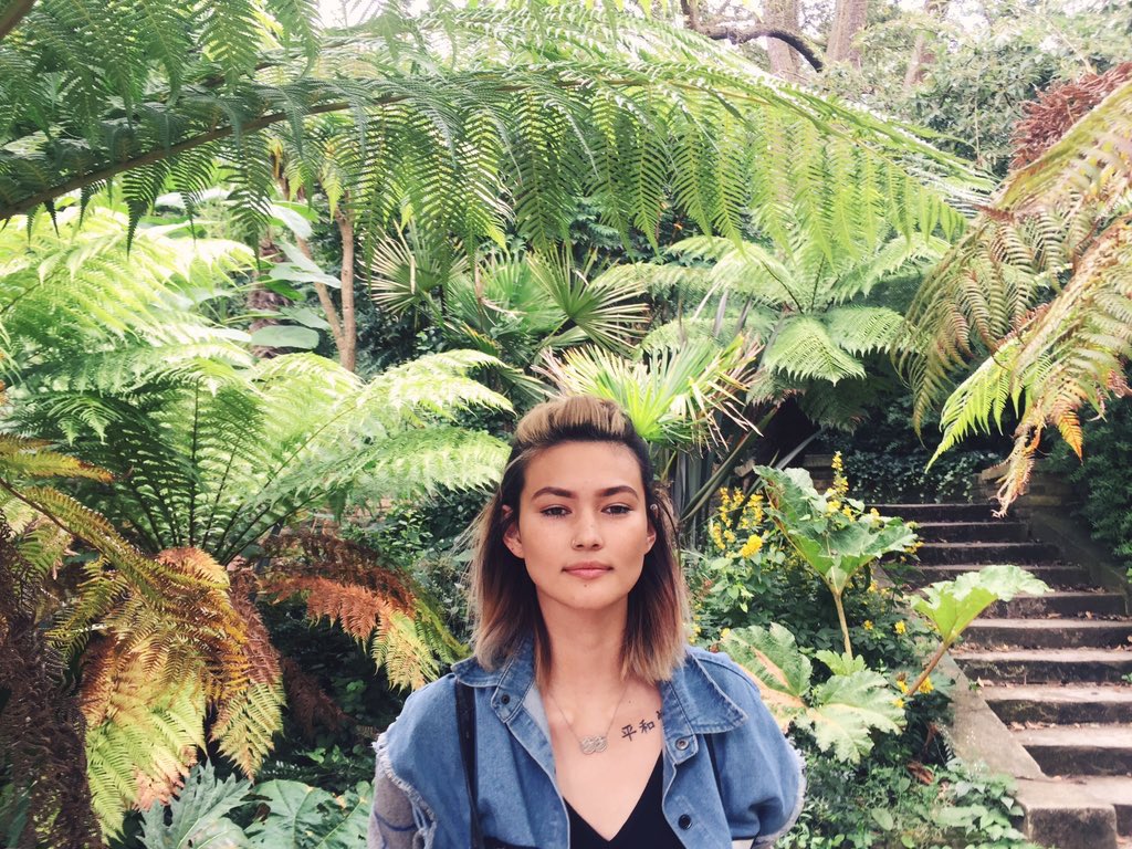 welcome to the jungle...