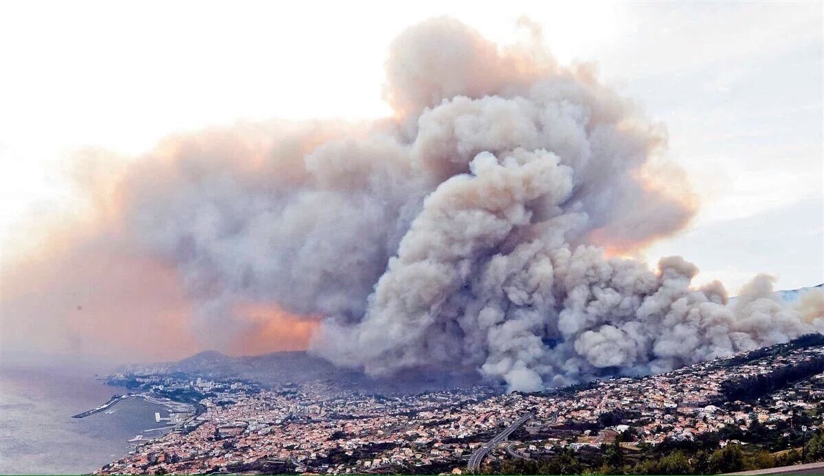 Maria Belém tweet media