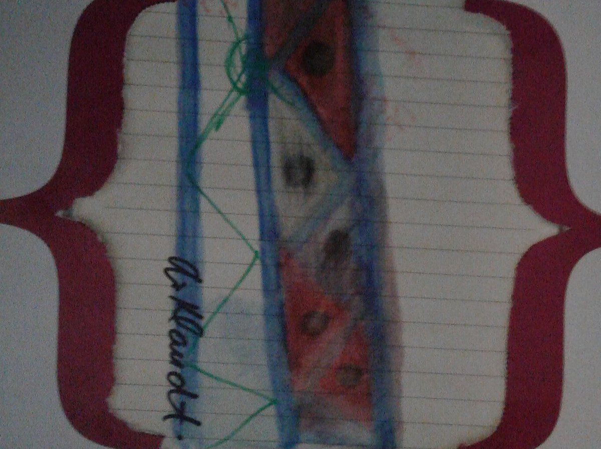 expressionsvibe's tweet photo. #artoutsideYQR #DesignsbyAmberLynn #coloringforwellbeing https://t.co/jQBacBMmDl