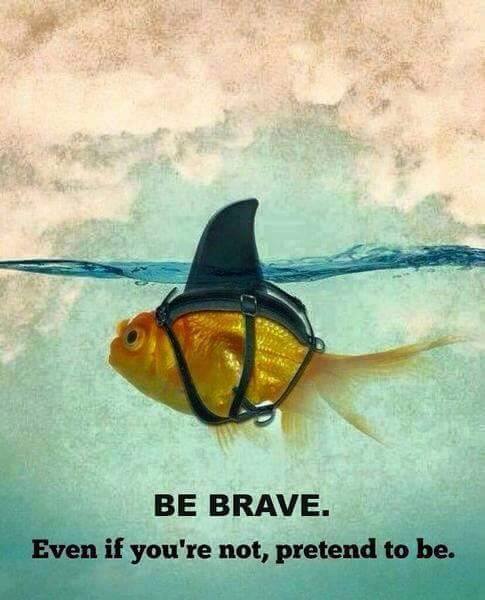iyhajrfuel's tweet photo. #WednesdayWisdom #Racerspride #iyhapride https://t.co/Eu4a3KzKKP