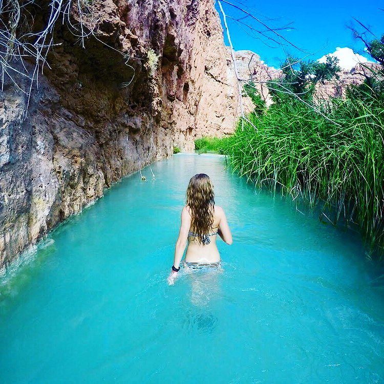 MaisonPenedes's tweet photo. Chapuzón o #siesta? 💦🌾 #vacaciones #slapsh #agua #aguita #baño #relax #enjoy #summer #natu… https://t.co/muaYaGB7aS https://t.co/jB9g3yIcEF