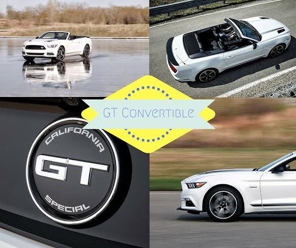 Ganley_Ford's tweet photo. The only thing better than a #MustangGT is a Mustang GT convertible! https://t.co/XhiINdkKgg