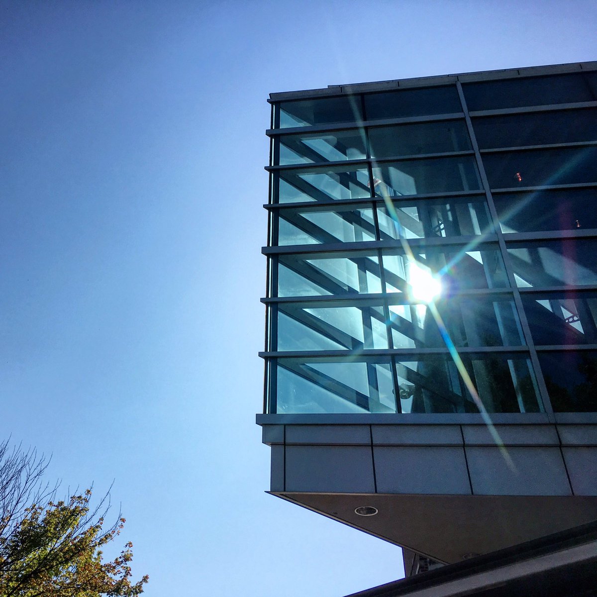 pittstate's tweet photo. On point. Get it? Get it? https://t.co/A3Yuc6nTYw
