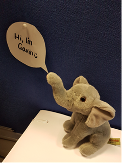 Wrigleys_COP's tweet photo. Meet #TeamWrigleys #Sheffield Mascot raising awareness @HerdofSheffield whilst taking part @backuptrust #BackUp30 https://t.co/FBZphxIrme