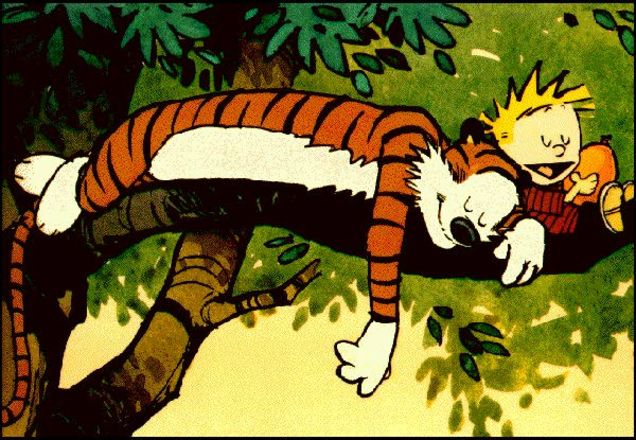 blooberryjam7's tweet photo. Happy #NationalLazyDay https://t.co/tf4e9KcCvC
