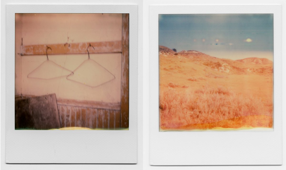BorealCollect's tweet photo. Support the #BorealBash & get a limited edition, one-of-a-kind Polaroid by @flanagan_annie: https://t.co/wITvQiUgkj https://t.co/28d8rnmeDV