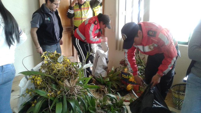 Ver imagen en Twitter