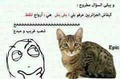 samalxis's tweet photo. #فرحنا_بضحكتك  
بش بش هههههه https://t.co/1m7Xnduw7g