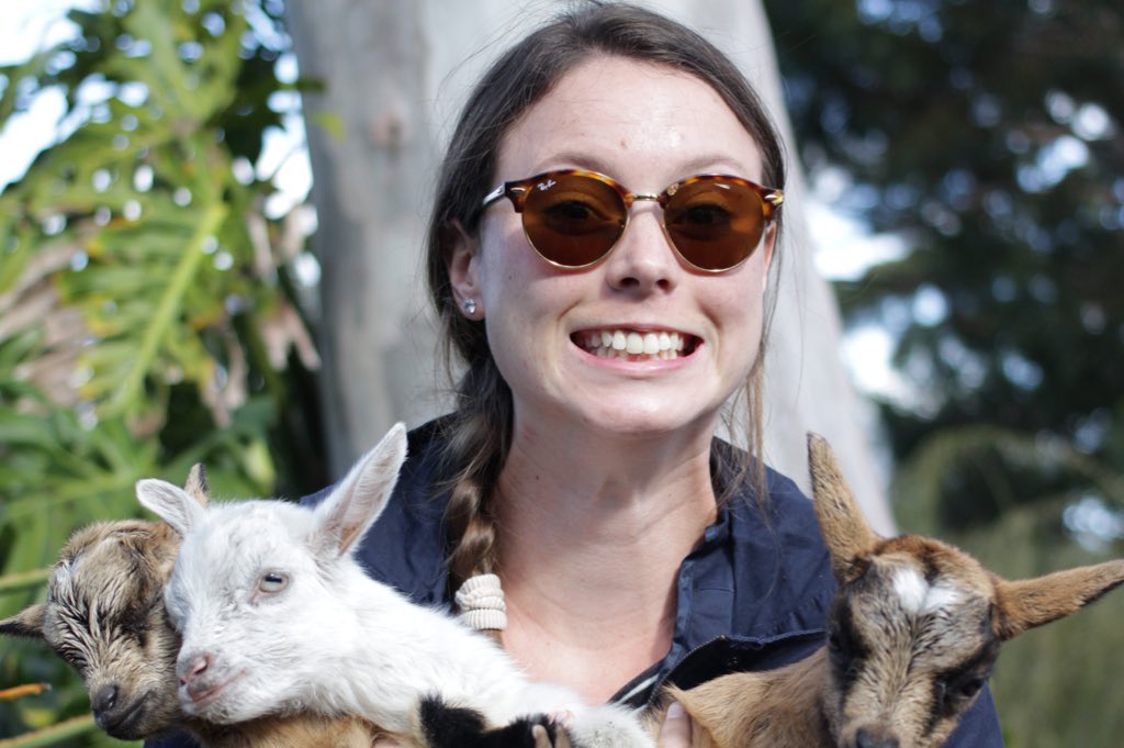 jamie faull Sax tweet media