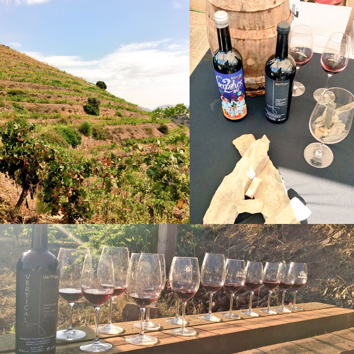 nit_de_vins's tweet photo. Sabaté i Mur, el 20 d'agost podreu tastar els seus vins a Torroja #nitdevins2016 #priorat #winetasting #vicatalà https://t.co/vZxvXH4kyJ