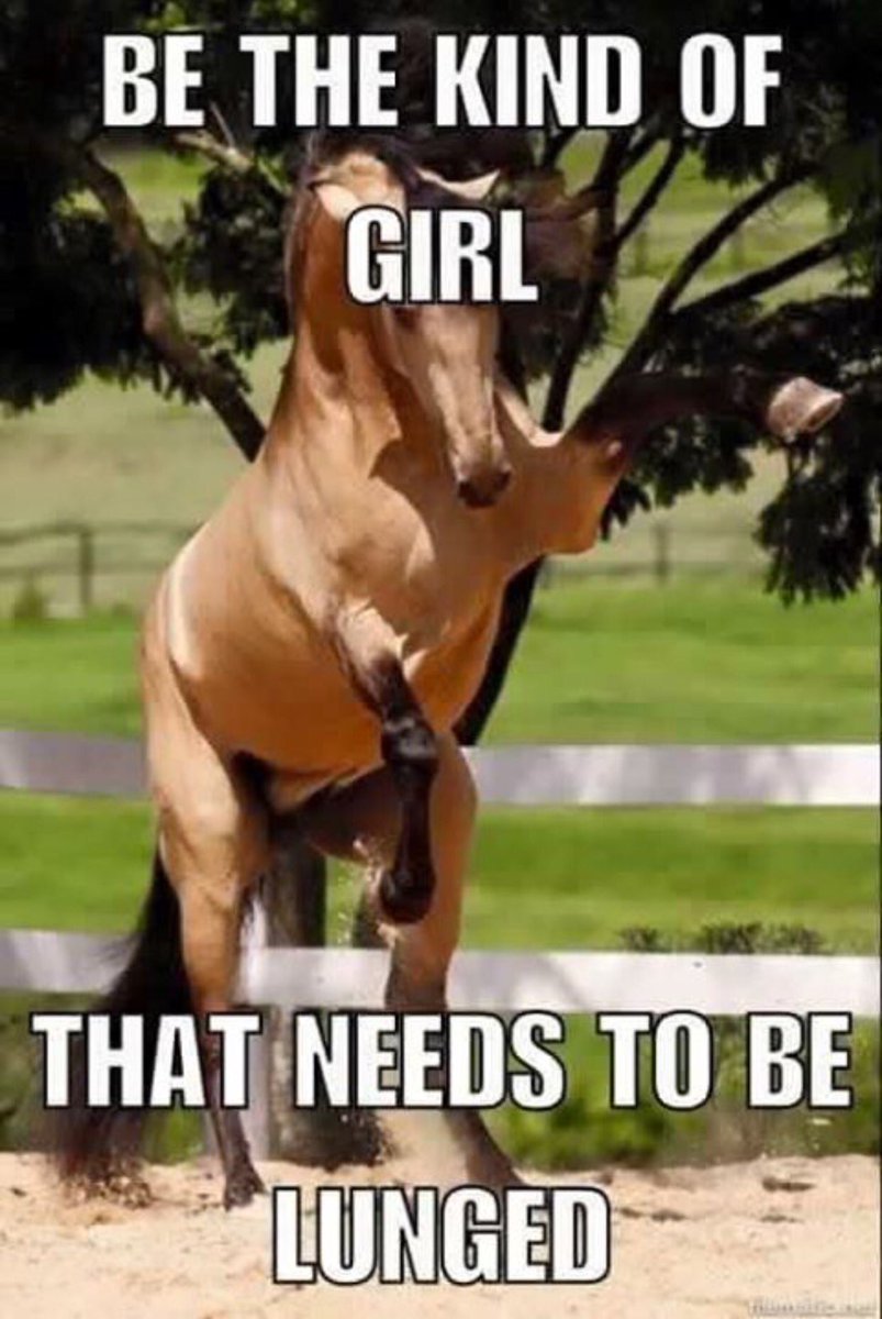 Latheron_Legacy's tweet image. #Yeehaw #Buckaroo #SitDeep #RideOn