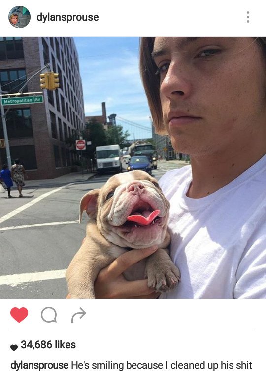 หมาไม่ยอมยิ้มครับ ผมไม่น่าไปเช็คอึให้เลย !