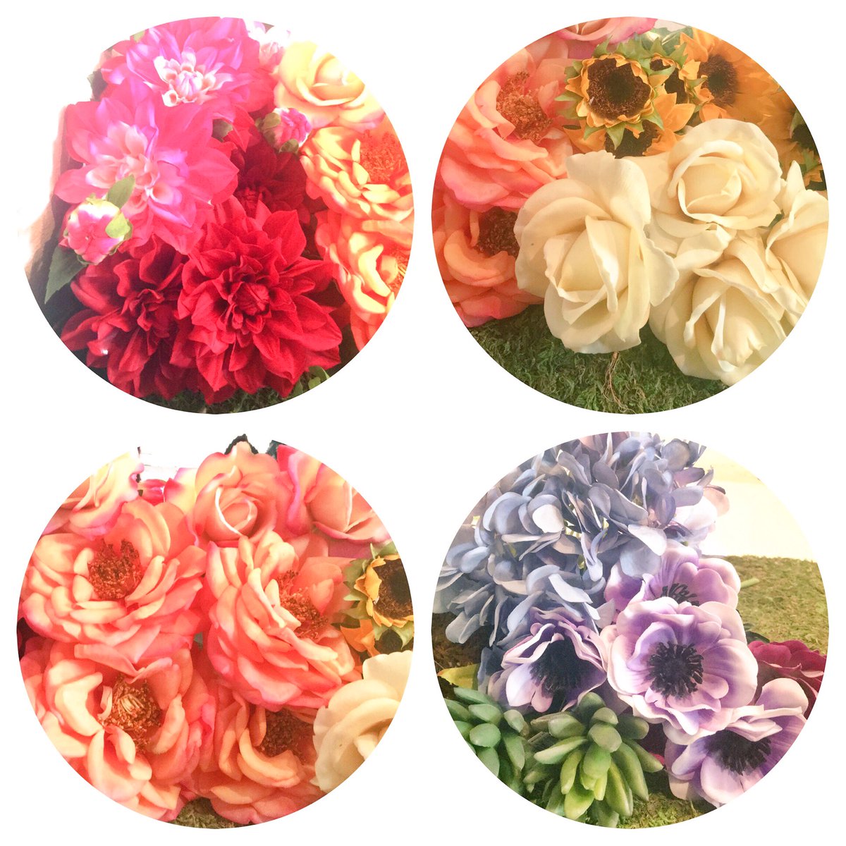 FlintwoodFloral's tweet photo. Rainbow flowers and natural rainbows #ecofriendly #FloralForLife #eventflorals https://t.co/o7ty2tvyU8