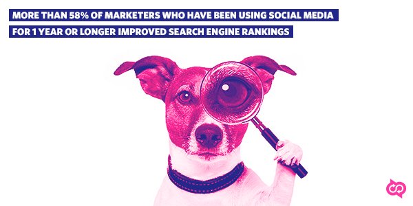 BackerHack's tweet image. Get lost in music or love, not search engine rankings. #CoPromote your #content to get found goo.gl/jiWZQ8