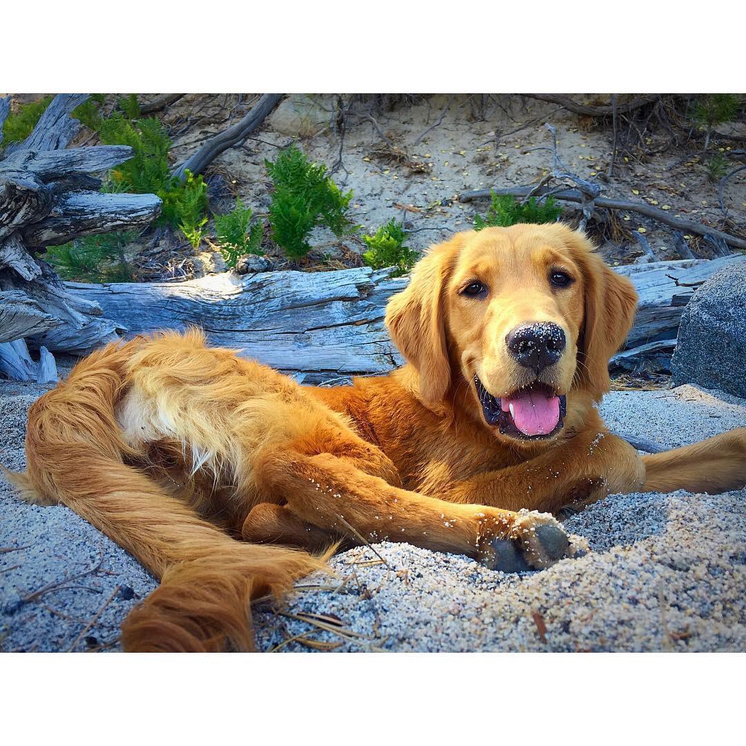 Make yourself comfortable during your #Adventurette. 💋 

📷: IG user @thegoldensierra.