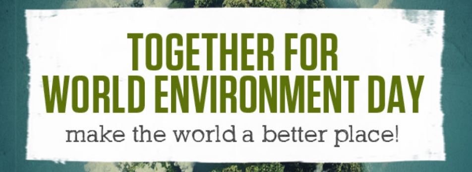 BidfoodUK's tweet photo. Together we made a difference this #WorldEnvironmentDay2016. Take a look: https://t.co/zBUzc9rWI5  #WED2016 https://t.co/mk5PZwVv9O