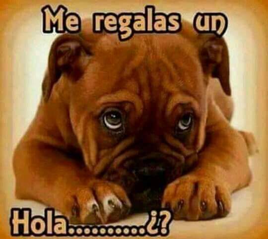 deynamles's tweet photo. CUIDA,VACUNA,ESTERILIZA Y ADOPTA UNA MASCOTA!!!! NO AL MALTRATO ANIMAL! UN PERRITO,UN GATITO SON TU MEJOR AMIGO! https://t.co/nYICTiZbpN