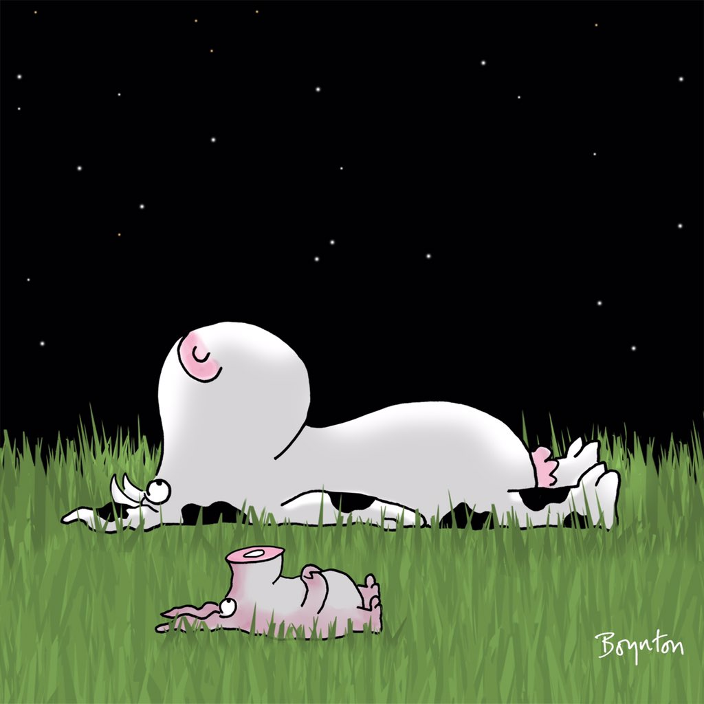 SandyBoynton's tweet image. Aug 11-12! Spectacular meteor showers!!! Invite a friend over to share the wonder. #ThePerseids