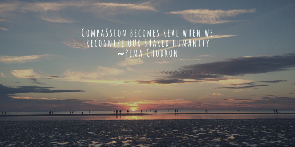 Pema Chödrön (@anipemachodron) on Twitter photo 