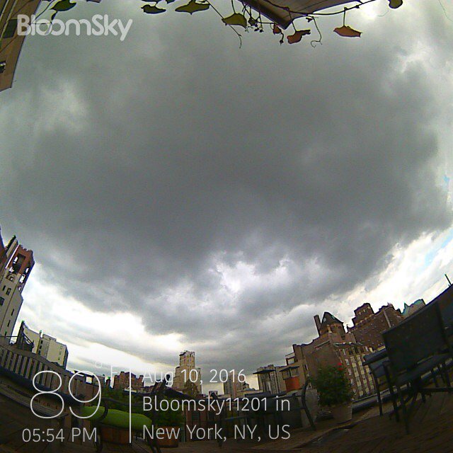 BloomSkyWX's tweet photo. A man continues climb up Trump Tower in NYC. Check #wx in #NewYork Now: 89°F  #BloomSky https://t.co/xB65ortT7f https://t.co/lsPUOtEz8e