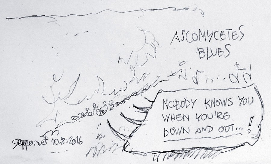 sepponet's tweet photo. Jenna Purhonen: #Ascomycetes #DWML2016
https://t.co/ptzW6Inyy9 https://t.co/eOn2ygInaB