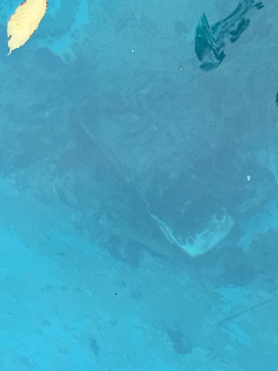 KOSDFF's tweet image. Got you. @AZChief1892