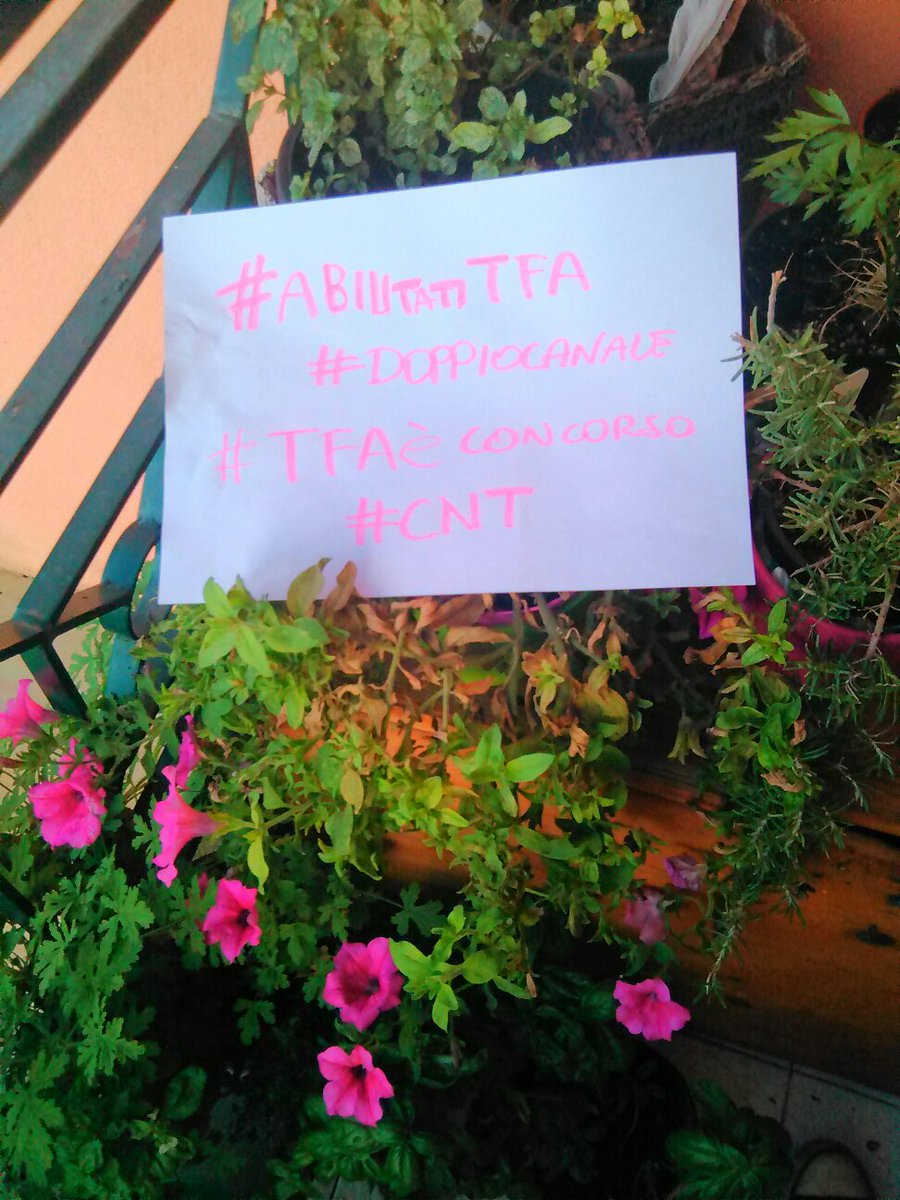 Francescadifra7's tweet photo. @matteorenzi @SteGiannini @megmalp @pdnetwork @ManuGhizzoni @TgLa7 @fattoquotidiano #abilitatiTfa #TFAeConcorso #cnt https://t.co/VLqxLAAHRa