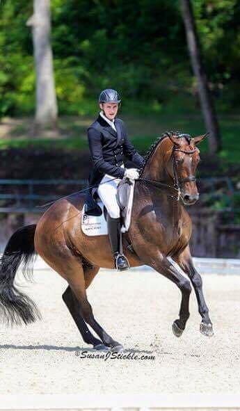 EpionyUK's tweet photo. #excitingtimes our new sponsored Grand Prix rider Stephen Hayes! https://t.co/76UN4mtDPH https://t.co/rFqfrDdSZu